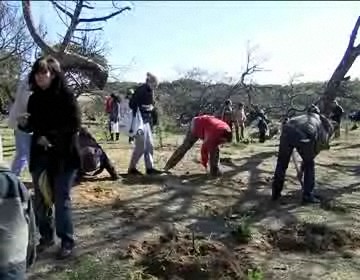 Plantación de árboles en el paraje natural del Molino del Agua